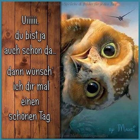 schöne bilder kostenlos für whatsapp|whatsapp pictures.